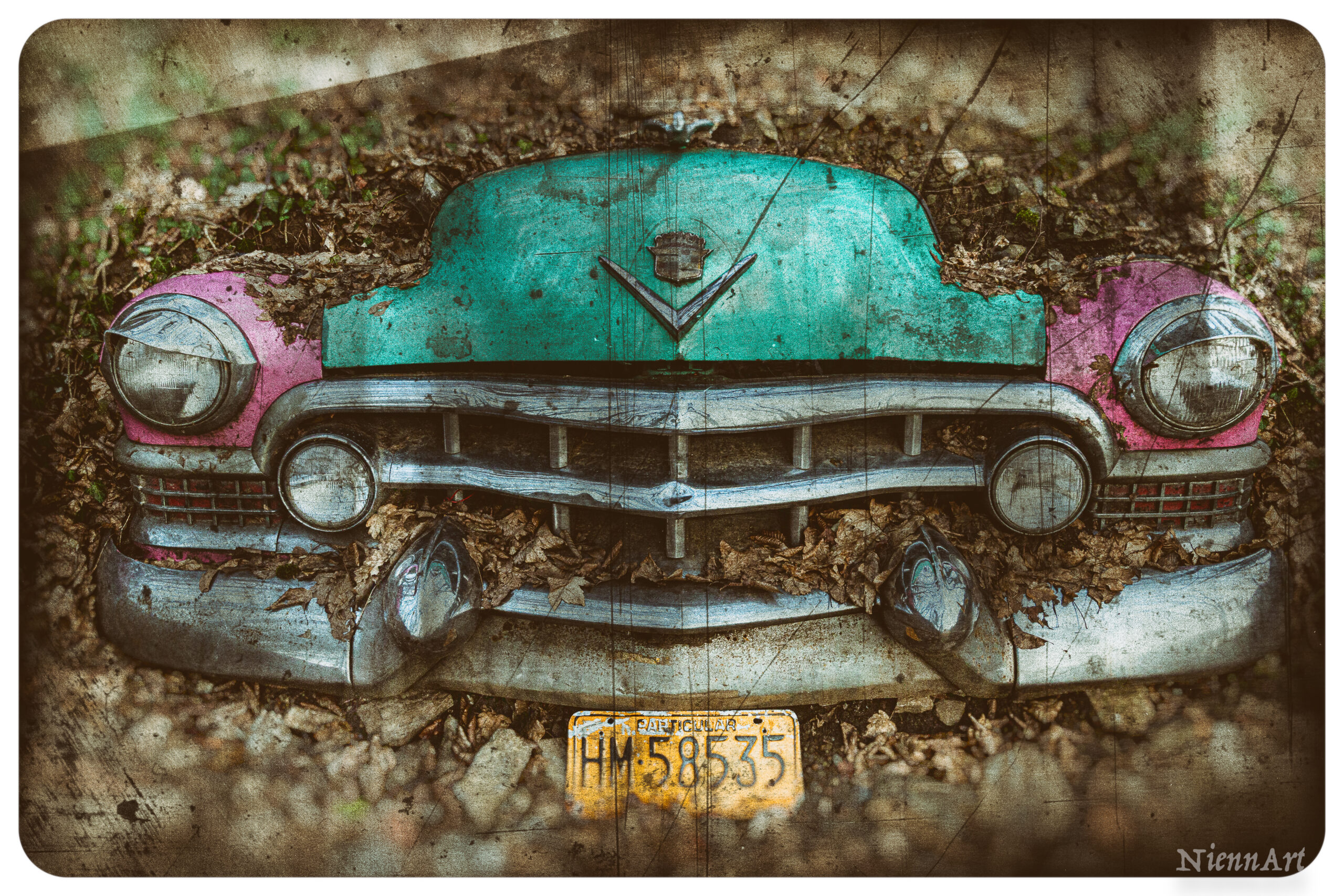 Carousel Image